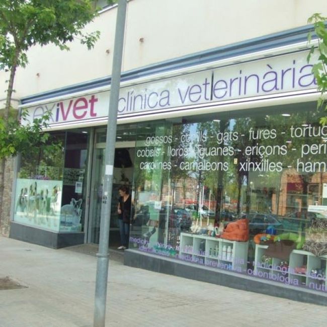 Consulta veterinaria en Sabadell