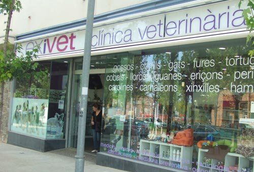Consulta veterinaria en Sabadell